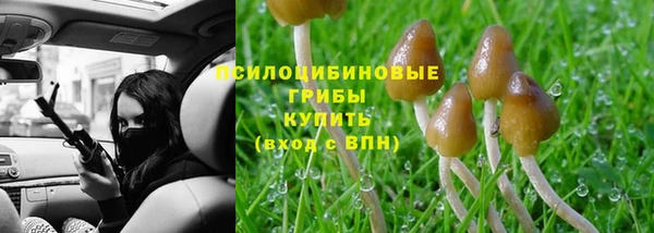 дурь Алексин