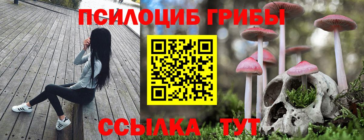 Псилоцибиновые грибы ЛСД  Псилоцибиновые грибы мухоморы  Сосновоборск  Вход с VPN 