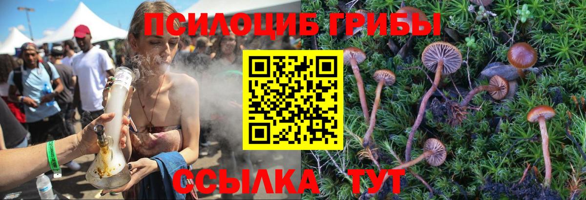 Псилоцибиновые грибы Magic Shrooms Сосновоборск